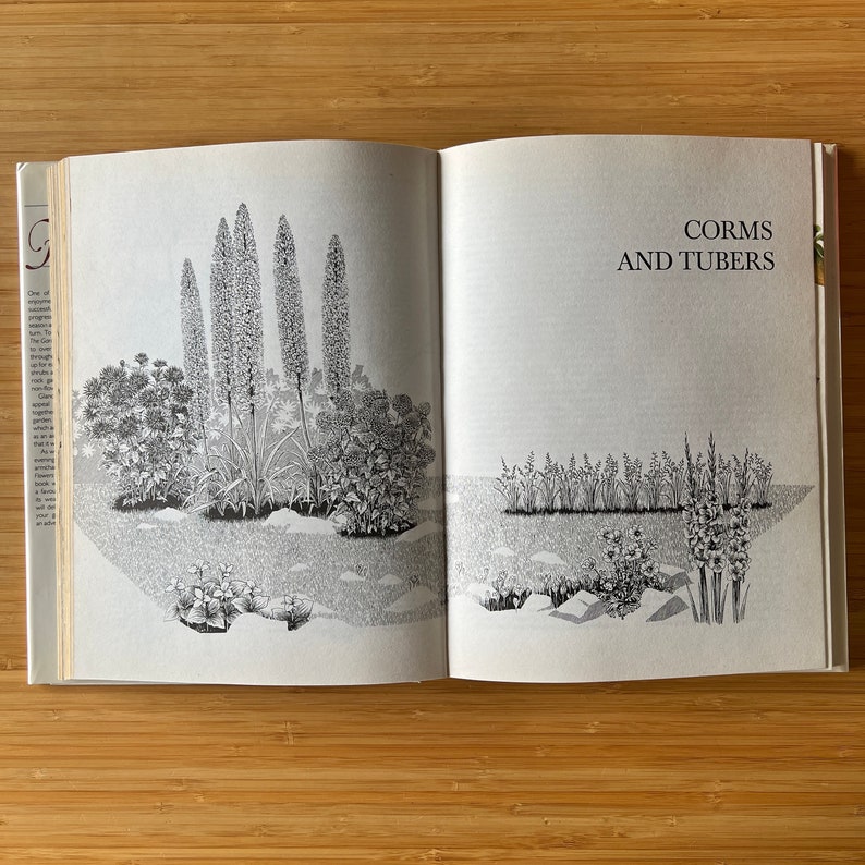 Vintage The Garden Flowers Book by Vladimir Molzer, How to Start a Garden, Garden Design, Flower Illustration, Plants, Rock Garden image 7