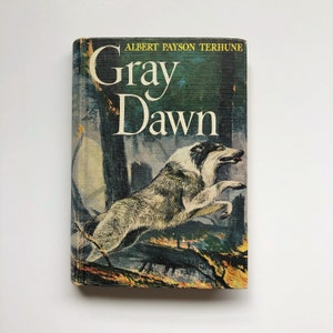 Gray Dawn by Albert Payson Terhune, Merle Collie Story, Dog Story, Dog Fiction Novel, Vintage Dog Book