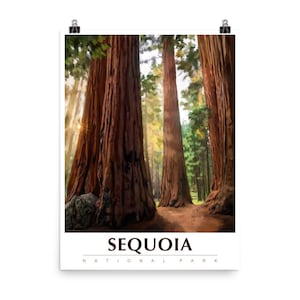 Sequoia National Park National Park Poster Travel Poster National Park Art United States Poster Vintage Poster California Travel Poster