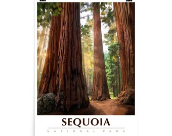 Op de afbeelding: Een poster met een schilderachtig uitzicht op Sequoia National Park. Het kunstwerk toont torenhoge sequoia's met roodbruine schors, badend in zonlicht. Het woord "SEQUOIA" staat onderaan in grote, vette letters gedrukt, met "NATIONAL PARK" eronder.