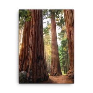 Sequoia National Park, Sequoia Painting, National Parks Art, National Parks Print, National Parks Canvas, California Art