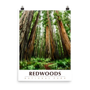 Redwoods National Park National Park Poster Travel Poster National Park Art United States Poster Vintage Poster California Travel
