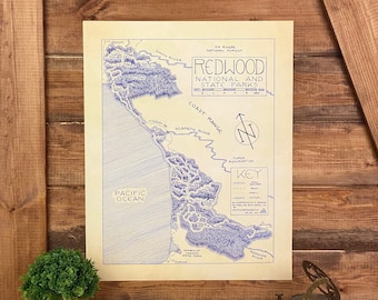 Carte des parcs nationaux et régionaux de Redwood dessinée à la main par cryptocartographie | Carte des séquoias Poster National Park California Impression artistique