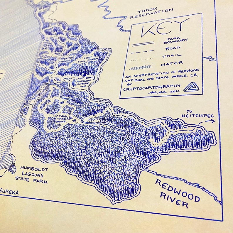 Redwood National & State Parks Map Hand-Drawn by Cryptocartography Map of Redwoods Poster National Park California Art Print image 3