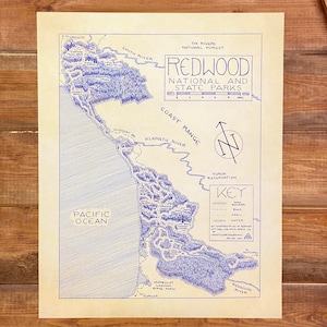 Redwood National & State Parks Map Hand-Drawn by Cryptocartography Map of Redwoods Poster National Park California Art Print image 2