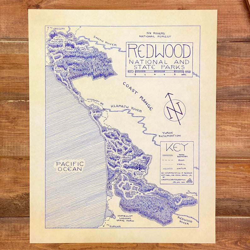 Redwood National & State Parks Map Hand-Drawn by Cryptocartography Map of Redwoods Poster National Park California Art Print image 2