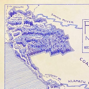 Redwood National & State Parks Map Hand-Drawn by Cryptocartography Map of Redwoods Poster National Park California Art Print image 4