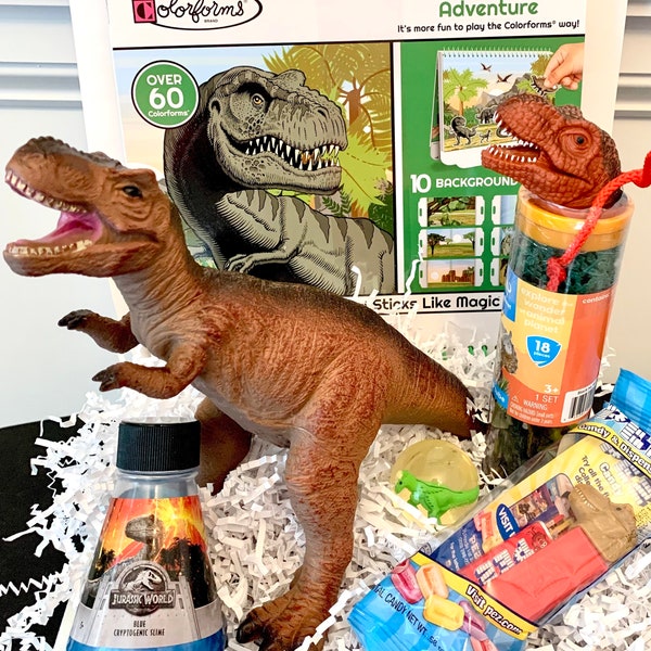 Dinosaur gift basket, boy, Easter Basket, Birthday,boys gift,gift for boys, dinosaurs, send a gift, get well, gift box for kids, toys, Dino,