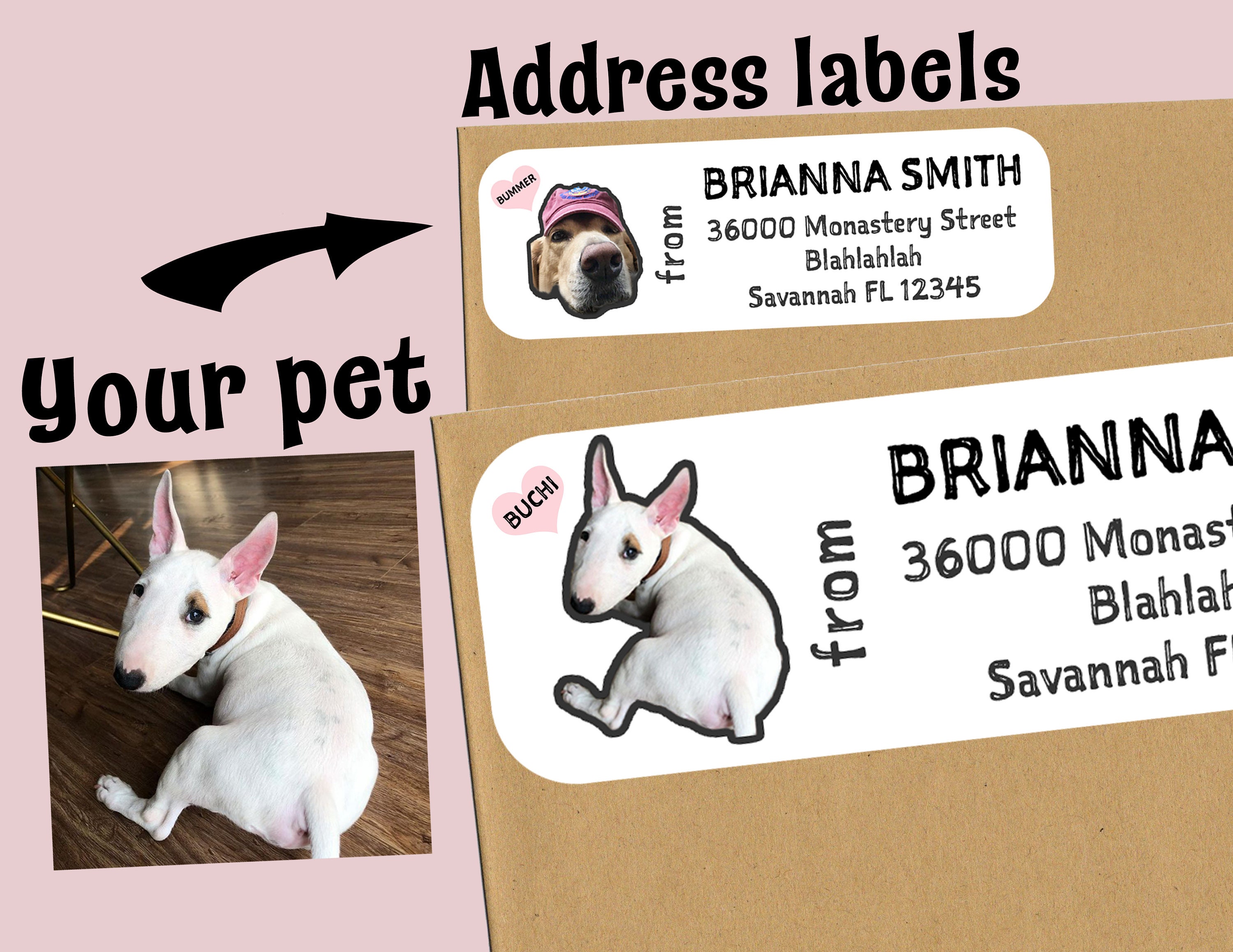 28 Address Labels for Pet Lovers Personalized Mailing Label - Etsy 28 Address Labels for Pet Lovers Personalized Mailing Label - Etsy