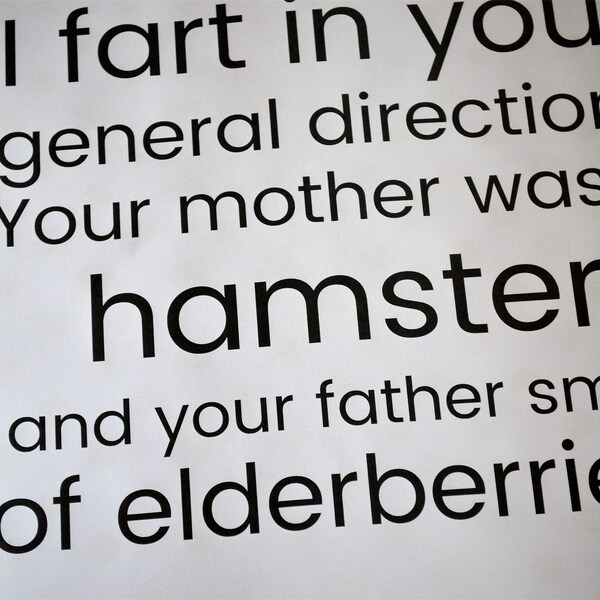 Monty Python And The Holy Grail Zitat - Deine Mutter war hamster und dein Vater rauchte von Holunderbeeren - Typografie