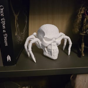 Pode incluir: Escultura branca impressa em 3D de um crânio com pernas de aranha. O crânio tem detalhes como órbitas oculares, cavidade nasal e dentes. As pernas de aranha se estendem para fora, dando à escultura uma estética gótica única.