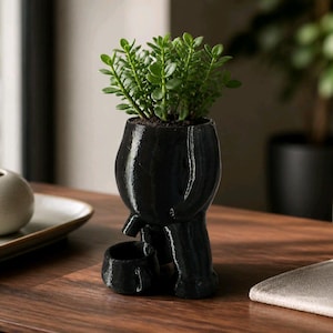 Pode incluir: Um vaso preto e escultural com uma pequena planta suculenta. O vaso tem um design único e abstrato com um pequeno prato anexado. Um vaso branco e esférico está em uma bandeja à esquerda.