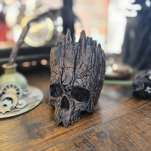 May include: A brown, skull-shaped ornament with a textured, weathered finish. The skull features eye sockets and a nasal cavity. It sits on a wooden surface, with other decorative items visible in the background.