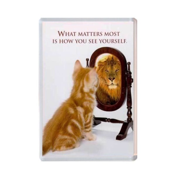 Cat in Mirror Large Jumbo fridge magnet Novelty Kitchen Gift / Keepsake