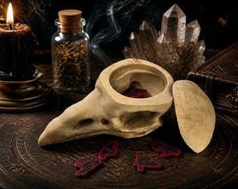 Set of 24 Runes and Raven Skull storage box Witchcraft, mediumship psychic gift