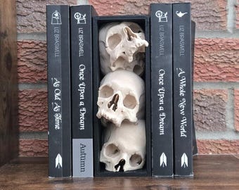Pile of Skulls book nook gothic book shelf ornament Booknook
