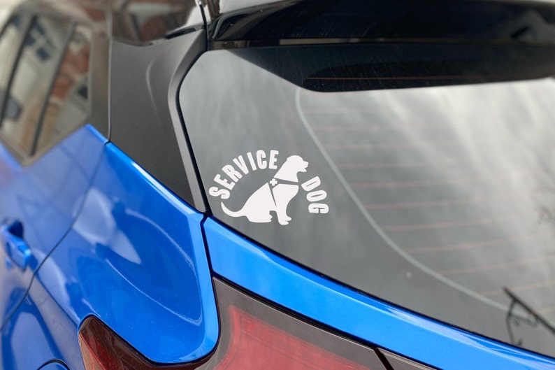 May include: A white sticker on the back window of a blue car that says "SERVICE DOG" with a silhouette of a dog wearing a harness.