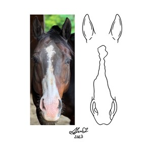 May include: A close-up of a brown and white horse's head. The horse has a white stripe down its face and a pink nose. The image is a line drawing of the horse's head with the ears and nose outlined.
