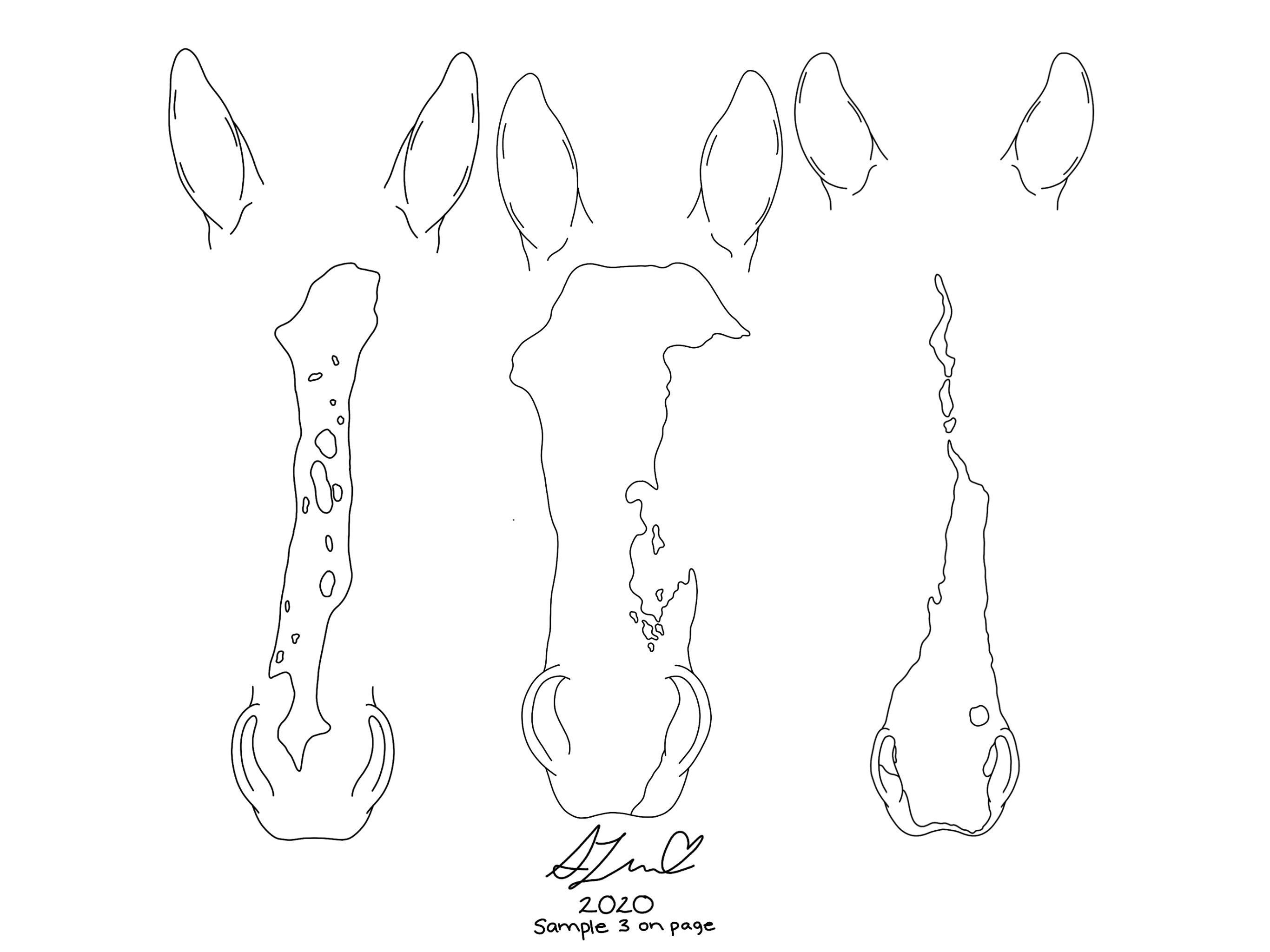 Individuelle Line Art Pferde-Esel-Umrisse Digitale - Etsy.de