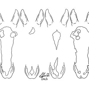 May include: Line drawing of a horse's head, showing the different parts of the anatomy, including the ears, nose, and mouth.