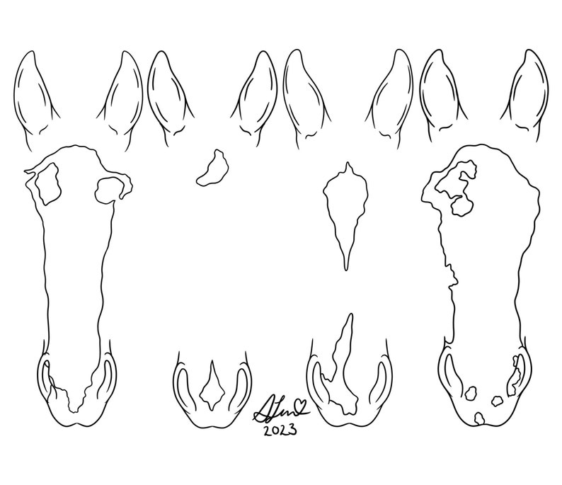 May include: Line drawing of a horse's head, showing the different parts of the anatomy, including the ears, nose, and mouth.