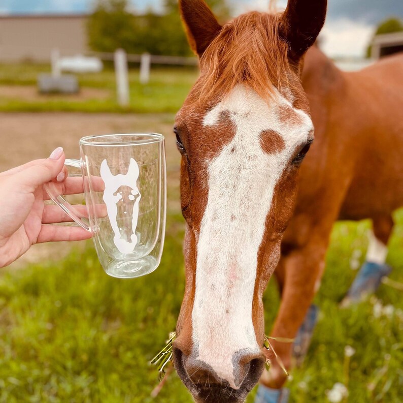 Puede incluir: Una taza de vidrio transparente con un dise&ntilde;o de doble pared presenta una silueta blanca de la cabeza de un caballo. La taza est&aacute; siendo sostenida por una mano frente a un caballo marr&oacute;n y blanco.