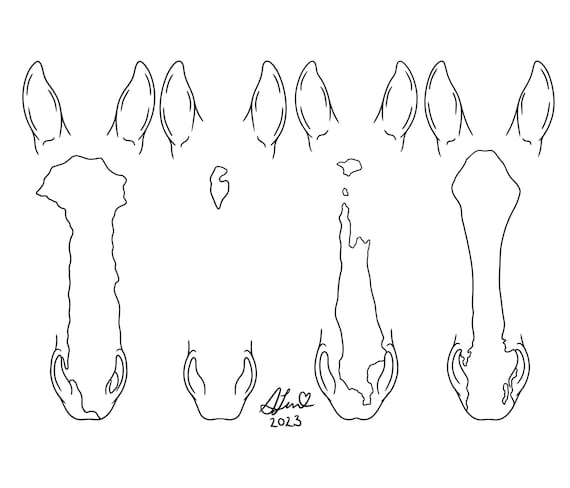 Custom Line Art | Horse/Donkey Outlines| Digital Illustration | Custom Portrait | Digital Document ONLY