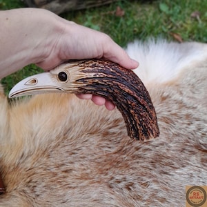 Può includere: Una testa di aquila in legno intagliato con un corpo curvo, strutturato, marrone e beige. Il becco dell'aquila è bianco e l'occhio è marrone scuro. L'intaglio è tenuto in una mano su uno sfondo di pelliccia.