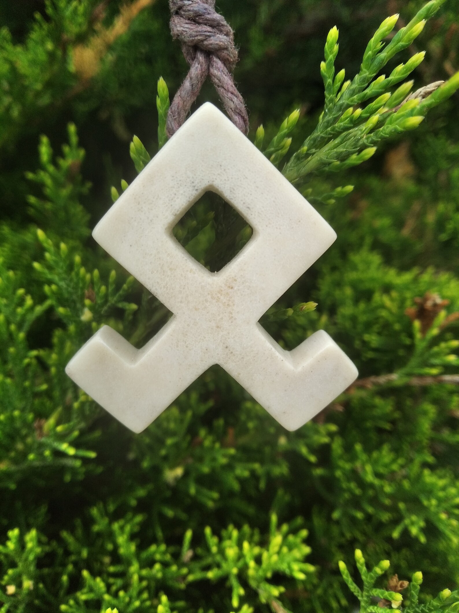 Rune D’Odal Histoire: Rune De La Famille – VLLJO