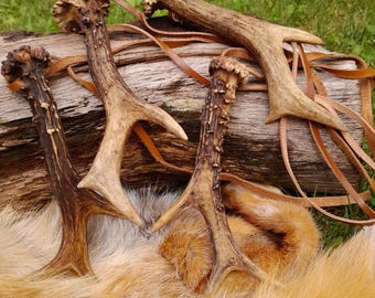 Roe deer antler amulet pendant | Rustic Viking talisman with leather cord | Natural forest charm