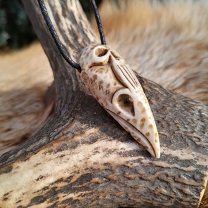 Unique Witch amulet. Raven skull with carved human skull. Gothic gift. Pagan, Witchy necklace. Wicca pendant. Shaman’s necklace. Crow skull