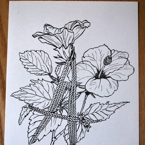 Hibiscus et jute