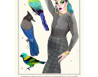 Planche I - Javel Habibi