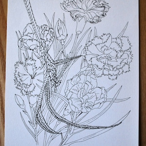 Oeillets et jute