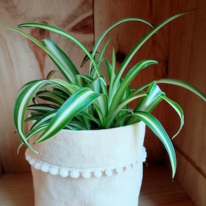 Pot cover, Bare, Trash, Organizer, Storage basket