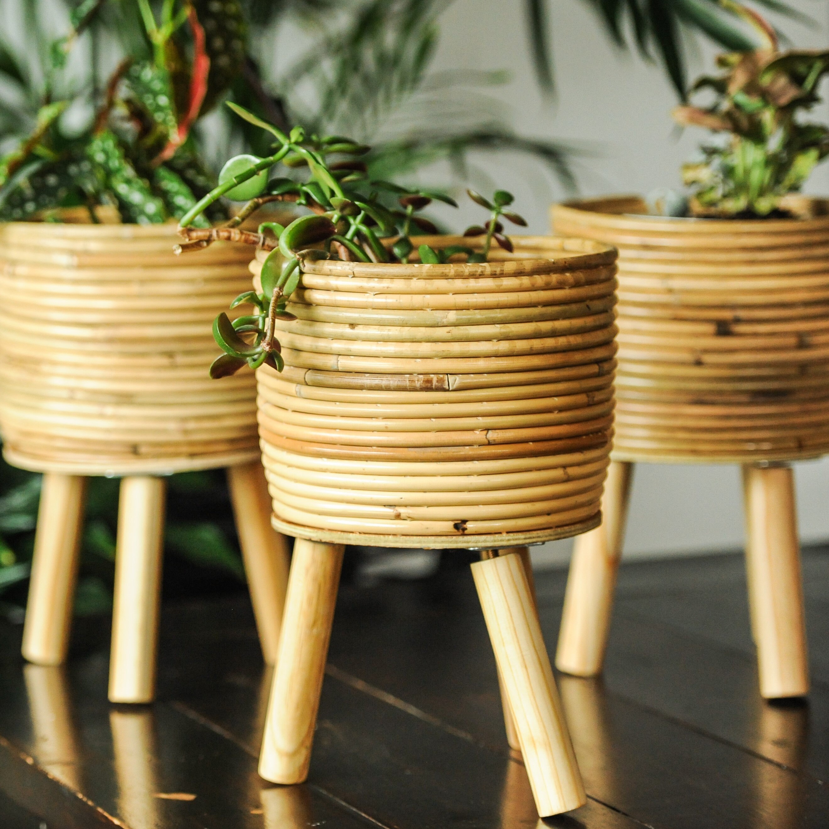 Set 3 maceteros bambú con patas madera