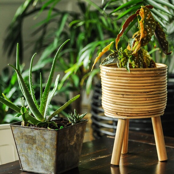 Boho Rattan Plant Pot Bamboo and Wood Planter With Legs Etsy