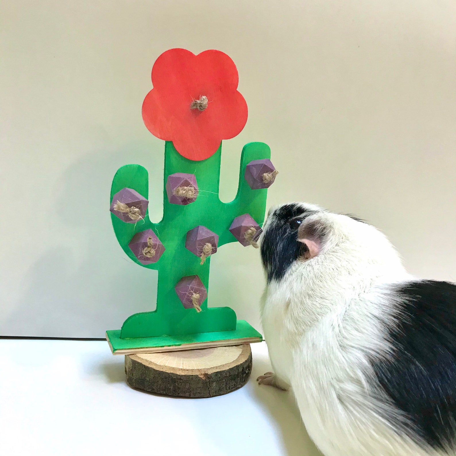 Guinea pig chew toy Etsy