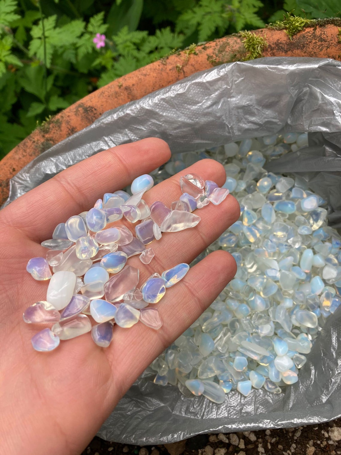 Opal Crystal Chips Bulk Opalite Gemstone Chips American Etsy