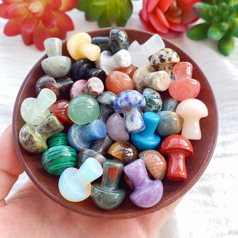 20 Pcs Crystal Mushroom Natural Stone Pendants Mushroom Charms Crystal  Charms for Jewelry Making Mushroom Shaped Pendant Cute Charms for Bracelets  Necklaces Ear…