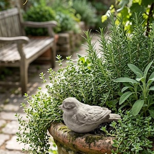 May include: A light gray stone bird figurine perched on the rim of a large, weathered terracotta planter filled with various green herbs, including rosemary and sage, with moss growing along the inner edge of the clay pot rim.