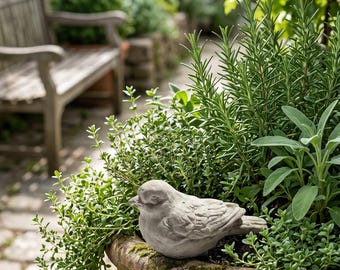Cement Bird Statue: Little Stone Sparrow-Rustic Garden Decor, Bird Bath Adornment
