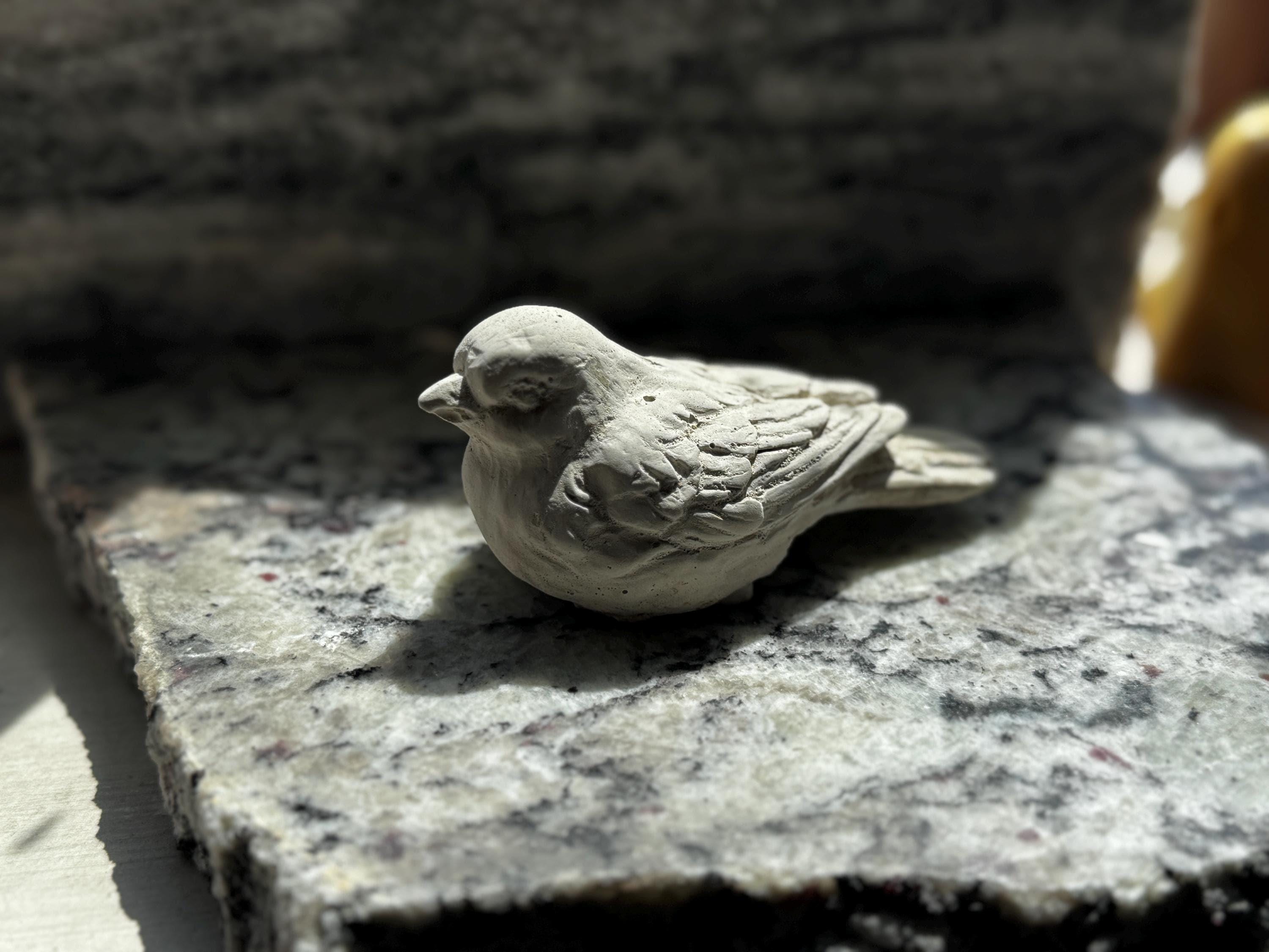 Cement Bird Statue: Rustic Garden Decor, Bird Bath Adornment