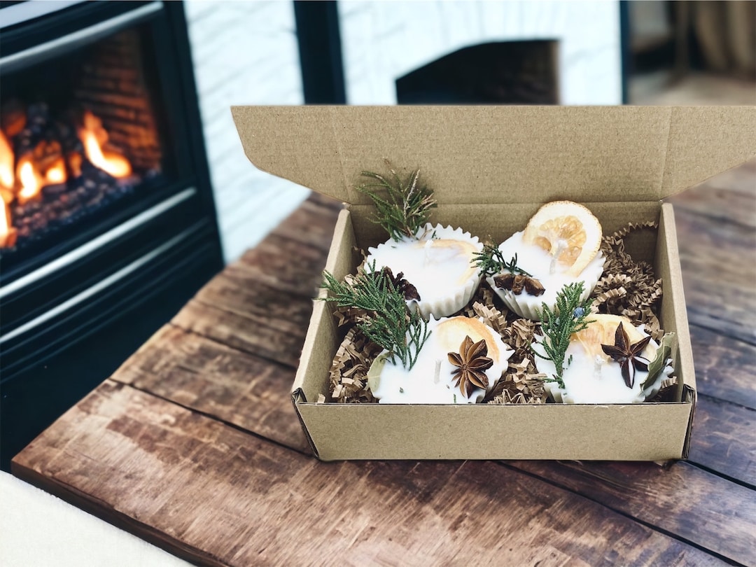 Wax Firestarter 4 Pack/ Starters for Fireplace/ Outdoor/camping