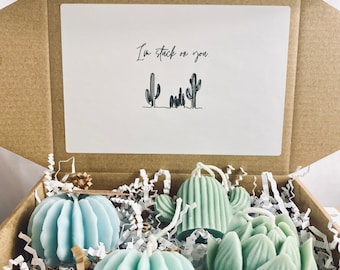 Kaktus Kerze Geschenkbox | Lustige Sukkulenten-Kerzendose| Geschenk Freundin| Geschenkbox| Stuck on you| Ich bin froh, dass ich dich gestochen habe| Sukkulenten Geschenkkorb