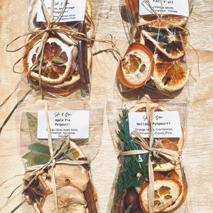 Può includere: Quattro sacchetti di potpourri con diversi profumi e ingredienti. I sacchetti sono legati con spago e contengono frutta secca, spezie e altri elementi naturali. I profumi sono Agrumi e Arancia, Autunno, Torta di Mele e Natale.