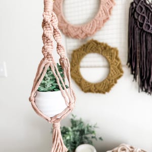 May include: A light pink macrame plant hanger featuring a knotted cord design and a gold-toned metal ring at the top. The hanger holds a small white ceramic pot containing a green succulent plant, finished with a decorative tassel at the bottom.
