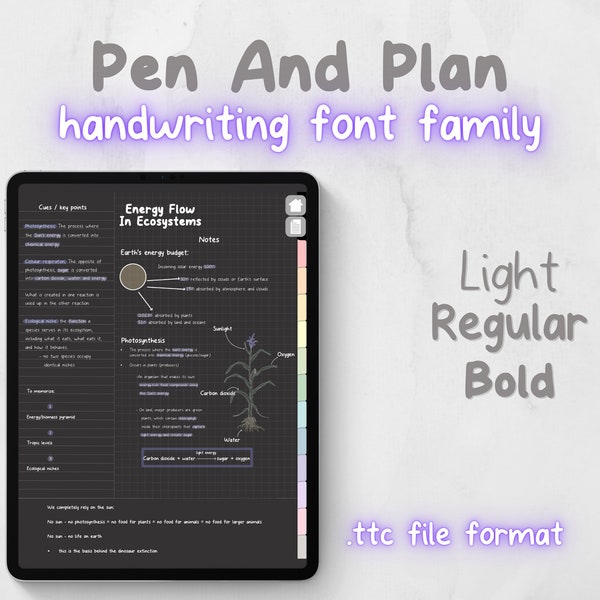 Pen And Plan handwriting font family for digital note taking, cute handwritten font, regular bold light, Goodnotes Notability