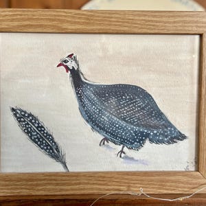 Guinea Fowl