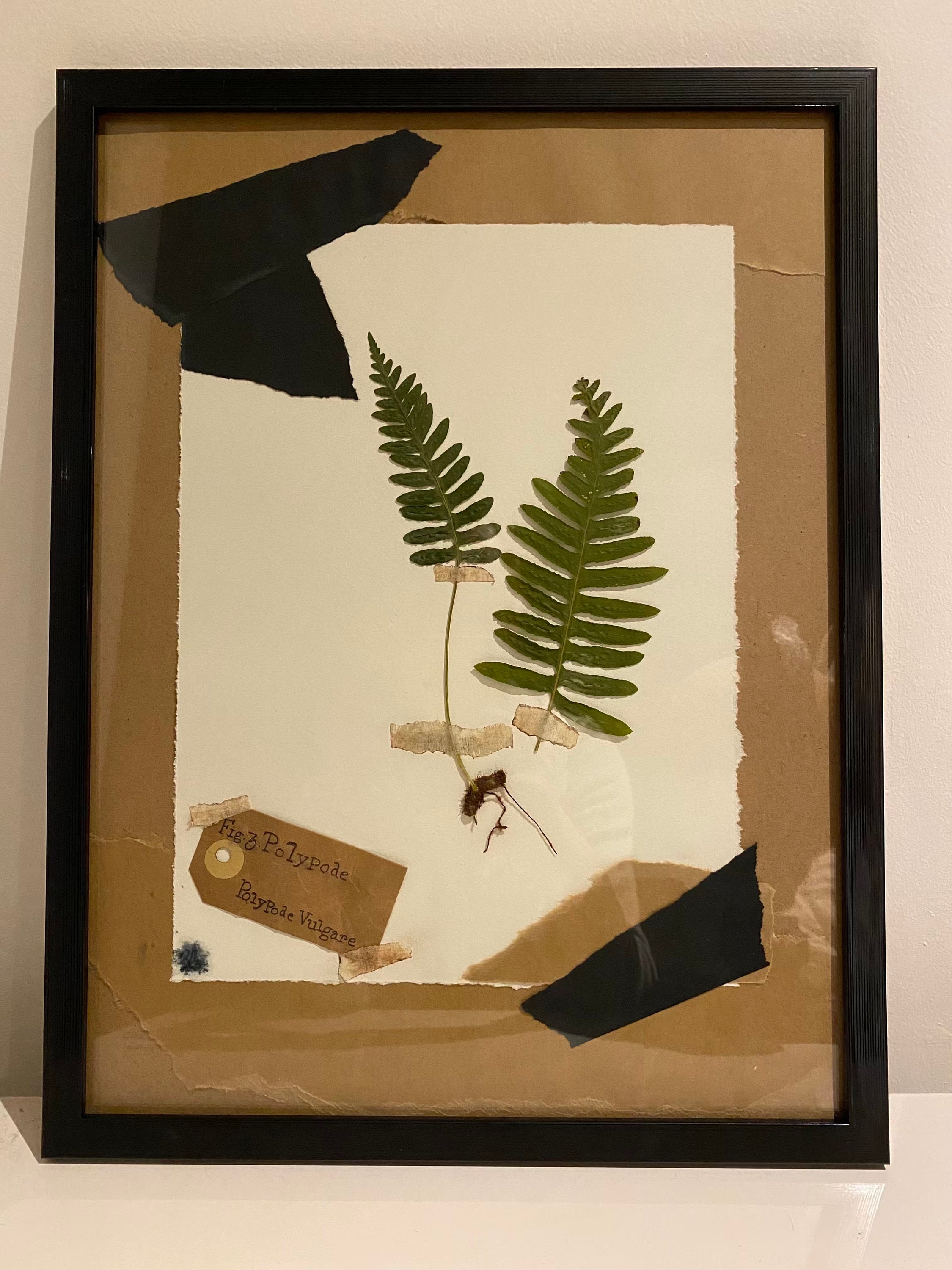 Herbier Unique sur Messure